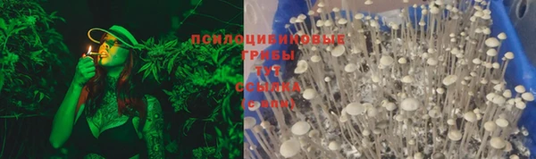 прущая мука Абаза