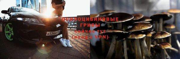 mix Осташков