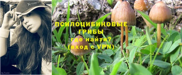 прущая мука Абаза