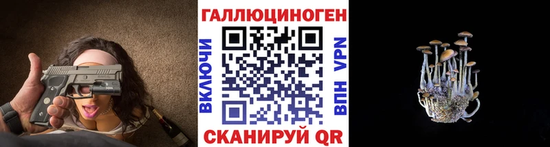 Галлюциногенные грибы Psilocybine cubensis  где продают наркотики  Углегорск 
